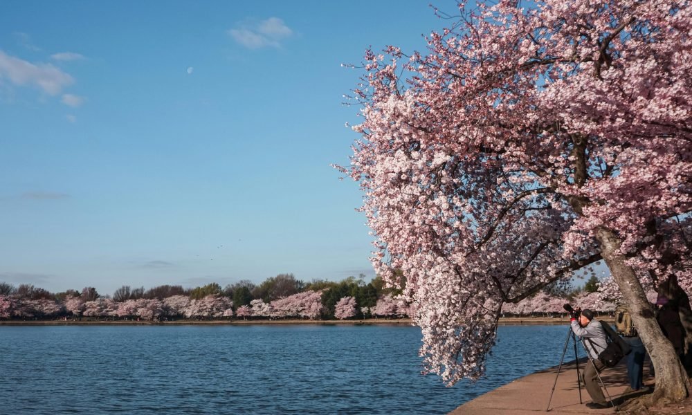 Best time to visit United States