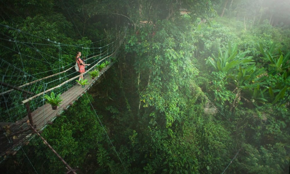 Best Things to Do in Malaysia