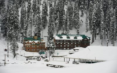 pexels-imadclicks-11203203