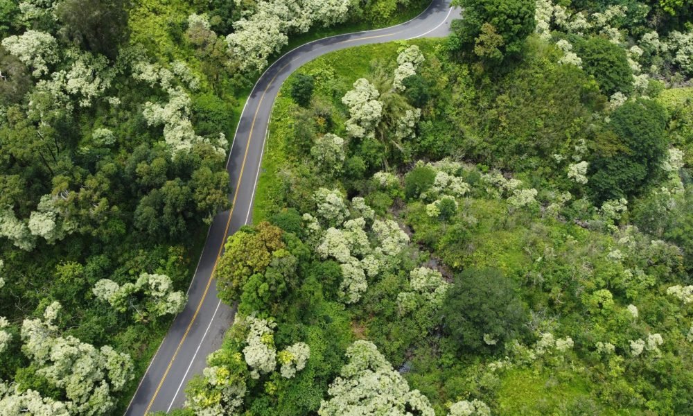 Best Places to Visit in United States