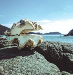 Okinawa Beaches