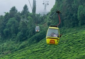 Happy Valley Tea Estate