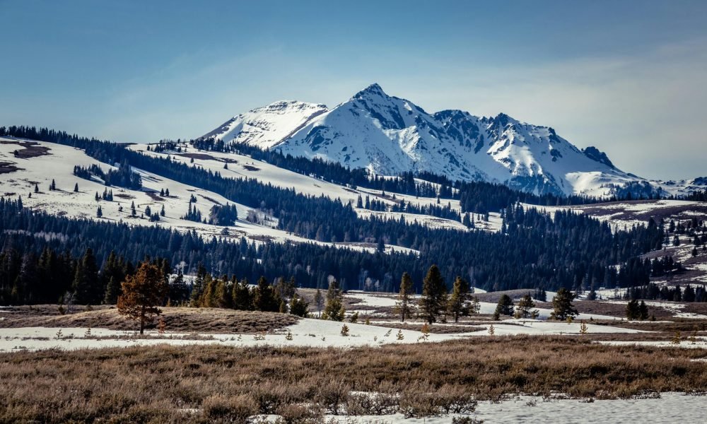 Best Things to Do in United States