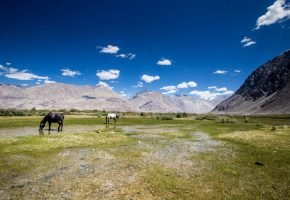Nubra Valley