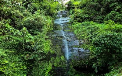 Top Attractions to Explore in Darjeeling
