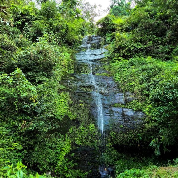 Top Attractions to Explore in Darjeeling