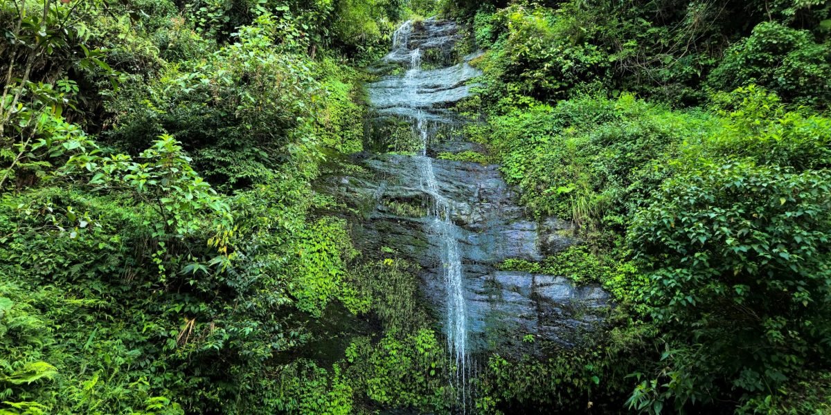 Top Attractions to Explore in Darjeeling