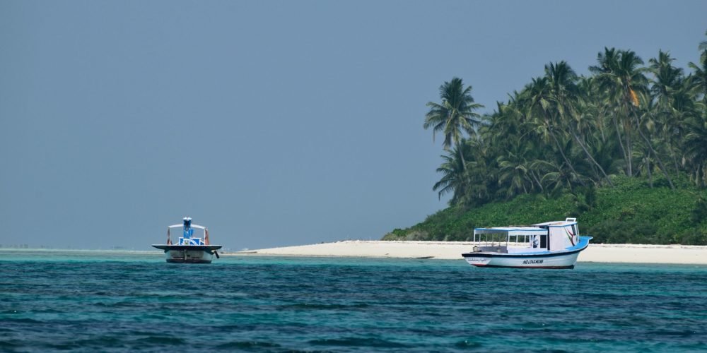 Best Things to Do in India