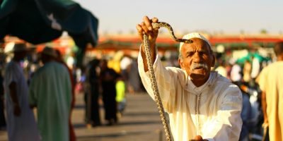 pexels-tmrknc-18806948