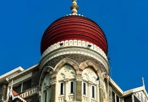 pexels-vishwanth07-19522095