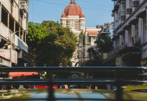 pexels-ygtphoto-16005636