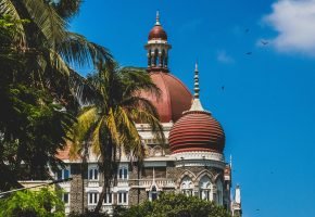 pexels-ygtphoto-16376255