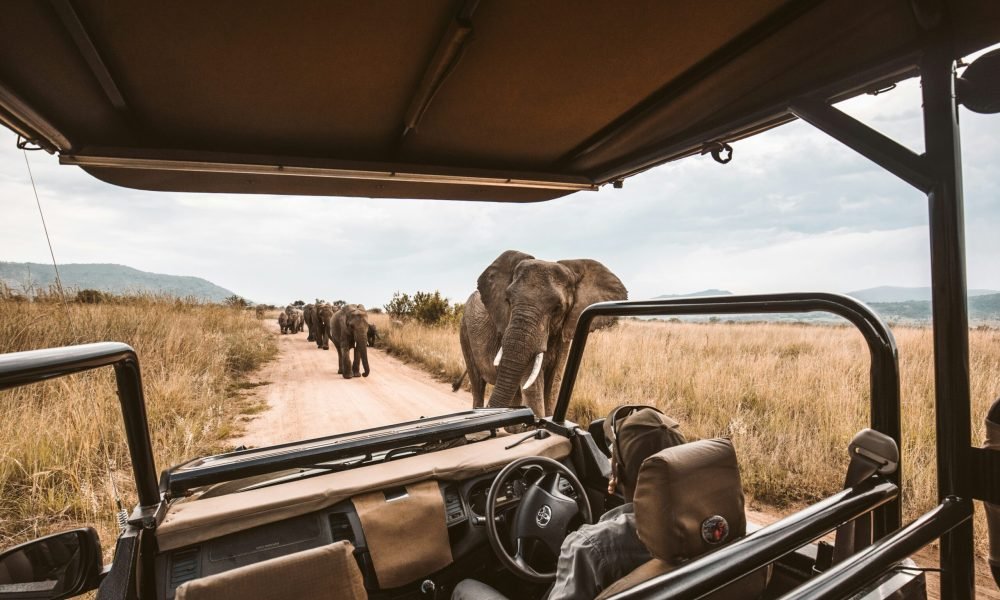 Best Ways to Travel Across South Africa