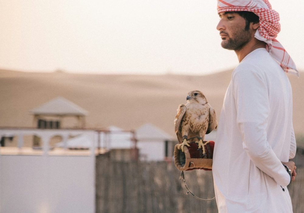 Best Things to Do in UAE