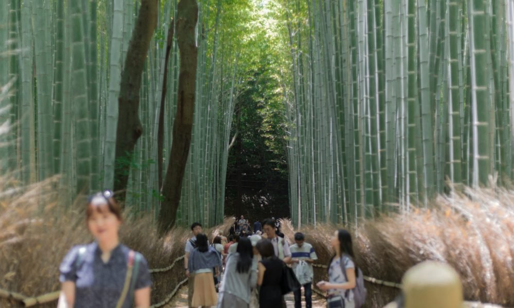 Best Places to Visit for Mental Wellness