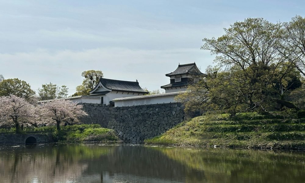 Top 10 Places to See Cherry Blossoms in Japan​