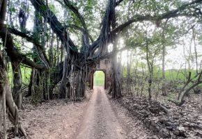 Ranthambore National Park