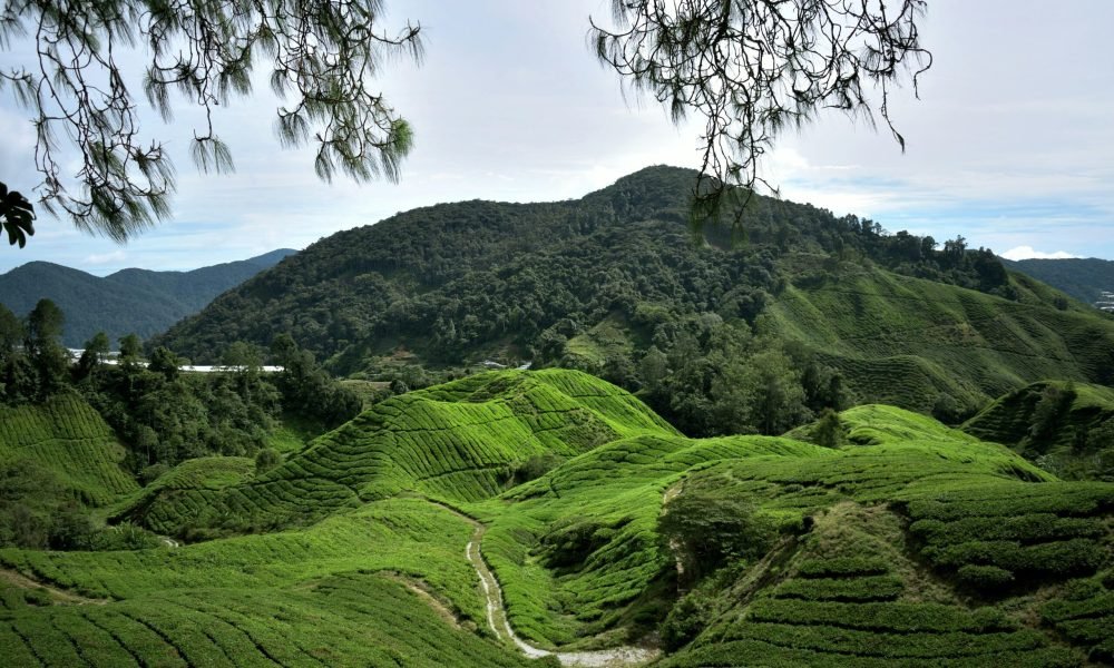 10 best places to visit in Malaysia
