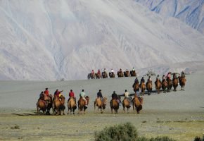 Nubra Valley