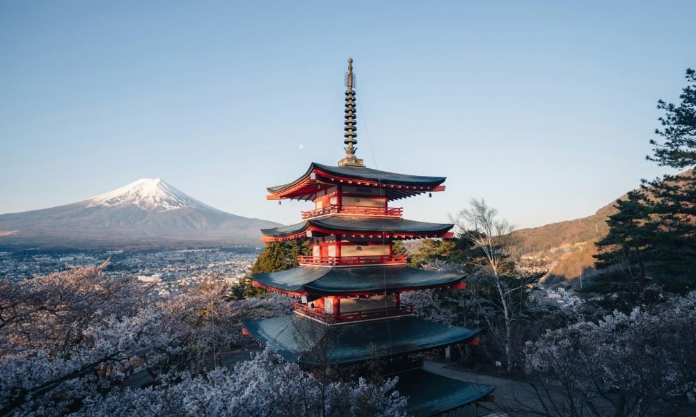 Top 10 Places to See Cherry Blossoms in Japan​