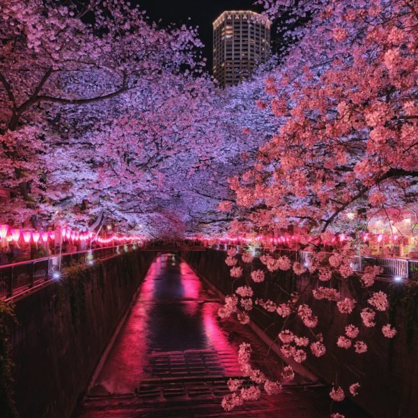 best time to visit Japan