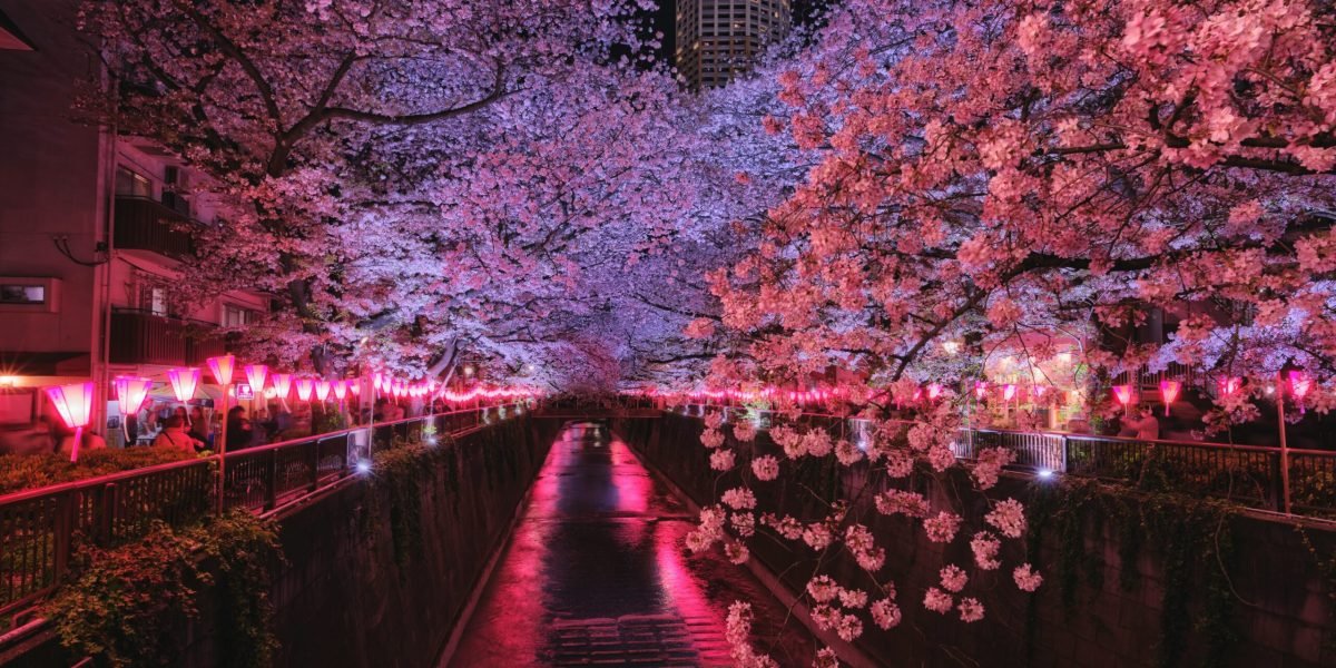 best time to visit Japan