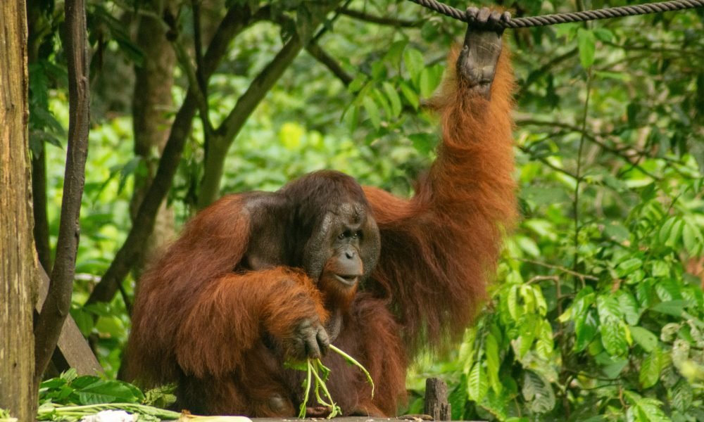 10 best places to visit in Malaysia