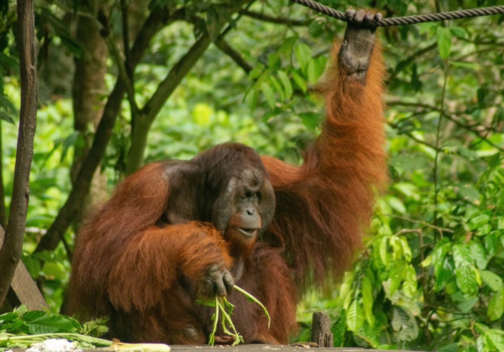 10 best places to visit in Malaysia