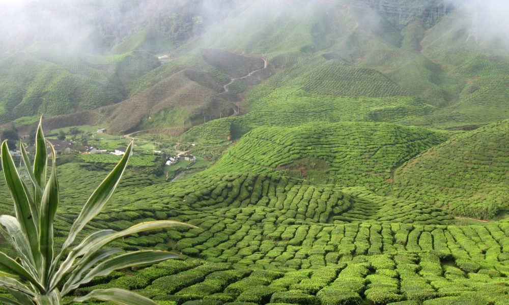 best time to visit Malaysia