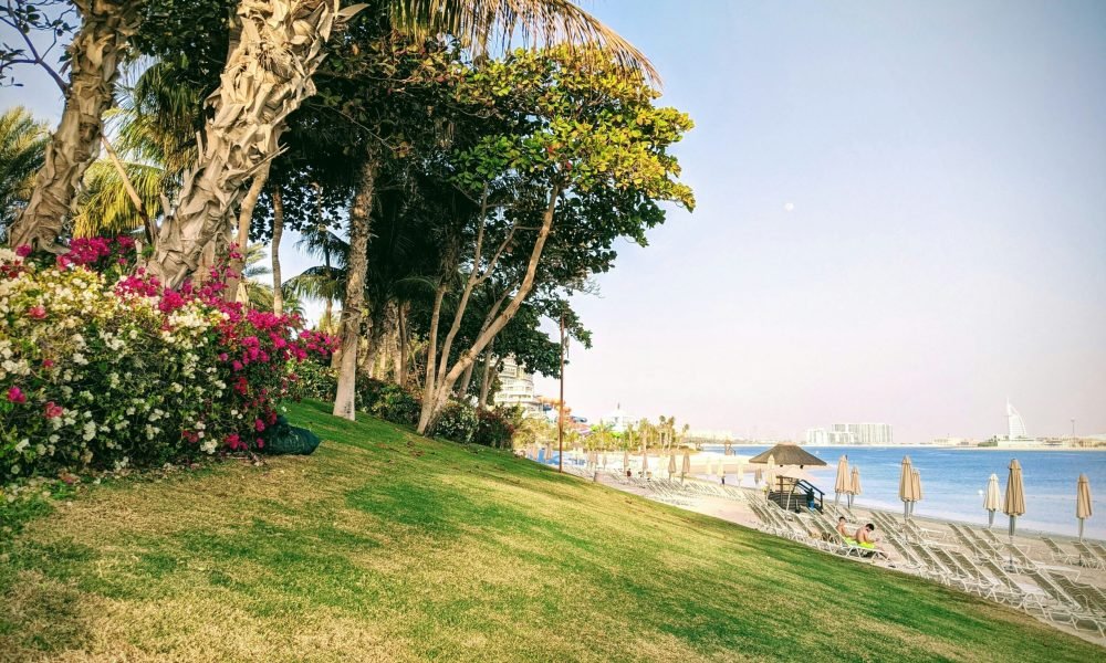Best Travel Insurance Plans for UAE