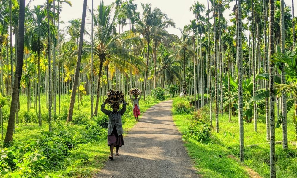 best places to visit in India