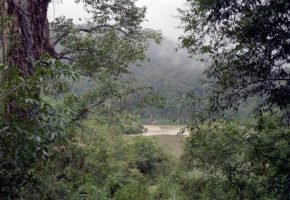 Taman Negara