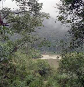 Taman Negara