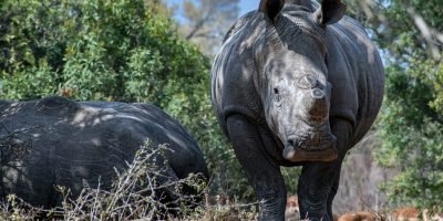 Kruger National Park