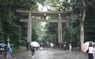 12 Best Travel Insurance Plans for Japan