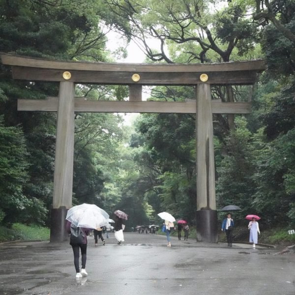 12 Best Travel Insurance Plans for Japan