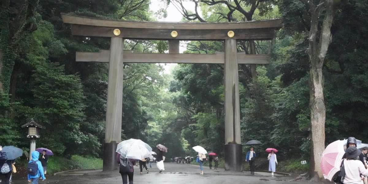 12 Best Travel Insurance Plans for Japan